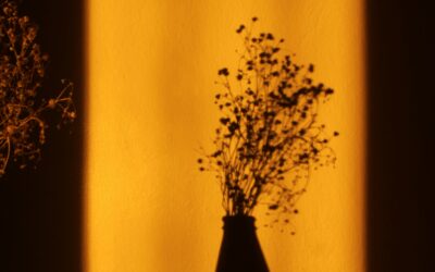 Alimentation émotionnelle : comprendre ses causes et retrouver une relation plus apaisée à la nourriture